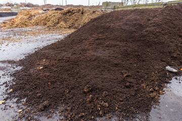 Pile of coffee grounds organic waste composting
