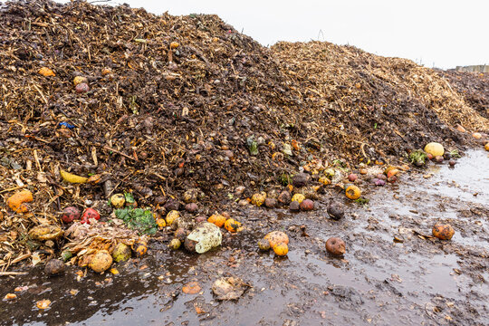 Heap of organic waste at compost recycling station