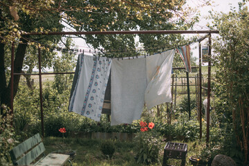 Citites and nature