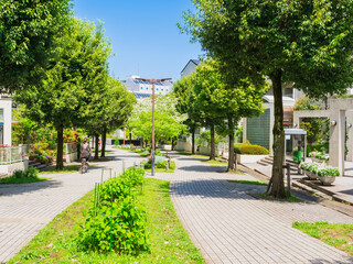 郊外の住宅地　新緑の生活道路