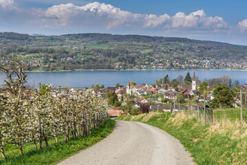 View to the town of Mammern, Lake Constance, Canton Thurgau, Switzerland