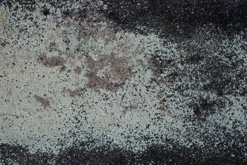 Black concrete wall with spores texture