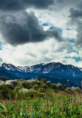 Fototapeta premium clouds over the mountains