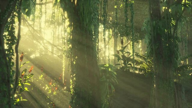 misty rainforest and bright sun beams through trees branches