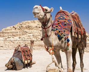 The Great Pyramid of Giza is a defining symbol of Egypt and the last of the ancient Seven Wonders...