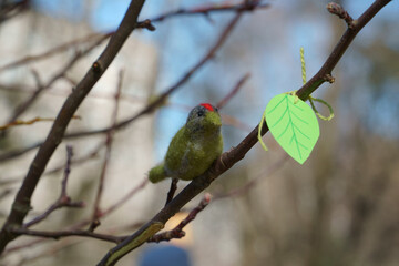 Close-up of an artificial bird sitting on a tree branch. Spring nature motif during Easter. Shallow depth of field view with outdoor decors in an urban environment in the decorative scene.