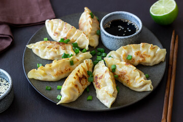 Fried dumplings with soy sauce. Gyoza. Healthy eating. Asian food.