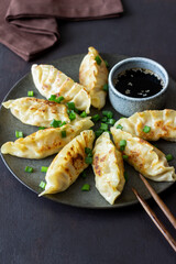 Fried dumplings with soy sauce. Gyoza. Healthy eating. Asian food.