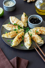 Fried dumplings with soy sauce. Gyoza. Healthy eating. Asian food.