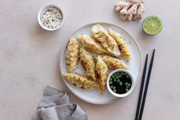 Fried dumplings with soy sauce. Gyoza. Healthy eating. Asian food.