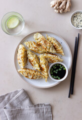 Fried dumplings with soy sauce. Gyoza. Healthy eating. Asian food.