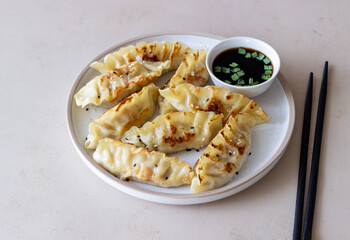Fried dumplings with soy sauce. Gyoza. Healthy eating. Asian food.
