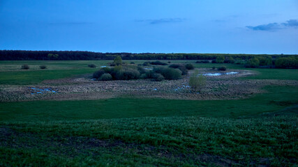 River valley of the Russian black earth steppe in the evening