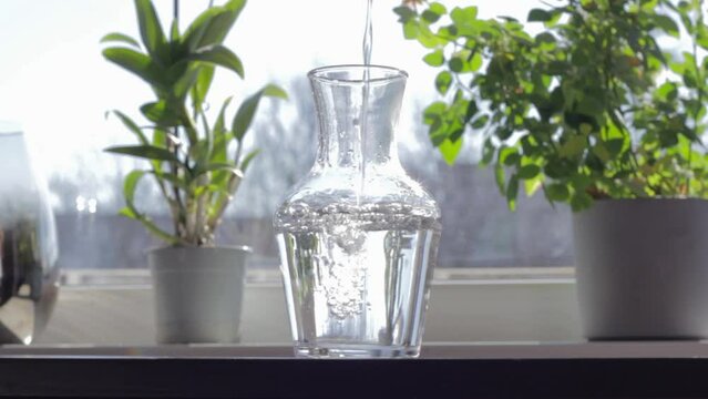 Fresh water pouring to tall transparent clear glass vase. Indoor home scene, decor indoor plants in background.