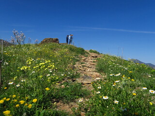 groupe de personne ensemble en haut d'une prairie fleurie qui marchent en randonnée dans les fleurs