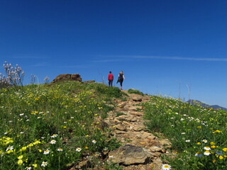 groupe de personne ensemble en haut d'une prairie fleurie qui marchent en randonnée dans les fleurs