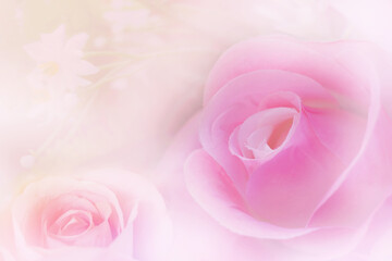 Fototapeta na wymiar Sweet color roses made with gradient in soft style for abstract background