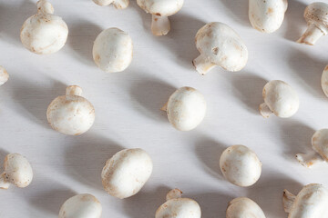 White fresh champignon mushrooms on a white table
