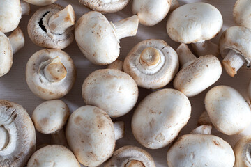 White fresh cooked champignons. Flat ley. Texture