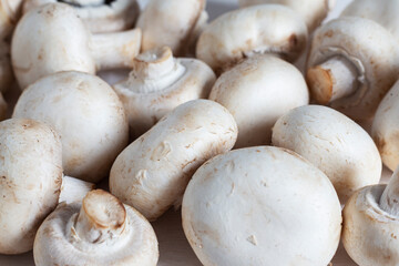 Texture of white fresh champignons. Background