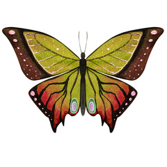 Watercolor colorful illustration on white background. Butterfly print. Watercolor butterflies. Summer vibes.