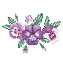 Watercolor bouquet of pansies on a white background