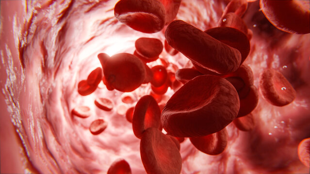 Rote Blutkörperchen oder Blutzellen fließen durch Ader oder Vene