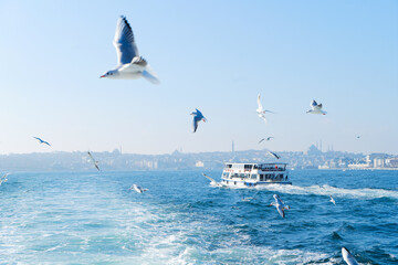 Fototapeta na wymiar Skyline of Istanbul, Turkey