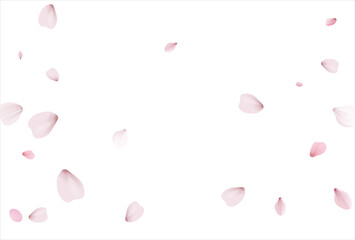 Pink sakura vector background, cherry flowers