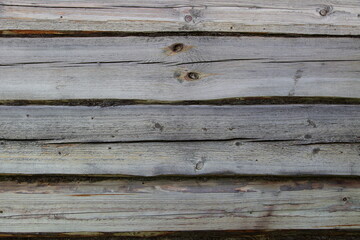 Obraz premium Texture of a log wall with moss seams in close-up. The background of a wooden log house.