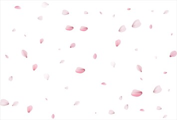 Sakura petals. Cherry petals backdrop