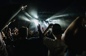 the crowd on concert