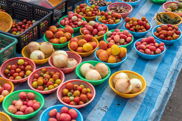 Many red tomatoes and others are piled up in small plastic pans.