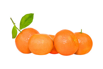 Group of fresh clementines with green leaves on the white background