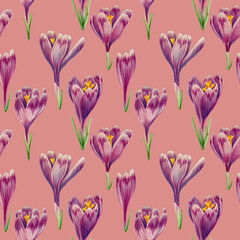 Seamless pattern of purple crocuses drawn with colored pencils on a Pale Violet Red background. For fabric, sketchbook, wallpaper, wrapping paper.