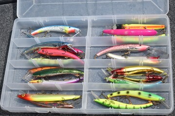 A collection of stickbaits used for walleye