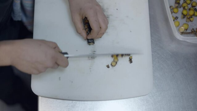 Close overhead shot of chef cutting vegetables in restaurant kitchen
