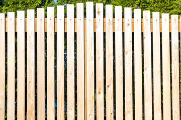 Background: fresh new fence with verticle softwood  boards.  Room for text.