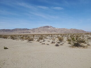Fototapeta na wymiar Flat Desert Landscape
