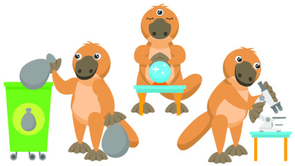 Set Abstract Collection Flat Cartoon Different Animal Platypus Duckbill Throws Out The Trash, Three Eyes And A Ball Of Predictions, Looking Through A Microscope Vector Elements Fauna Wildlife