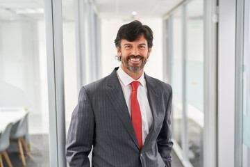 Business Mann als erfolgreicher Manager oder Berater