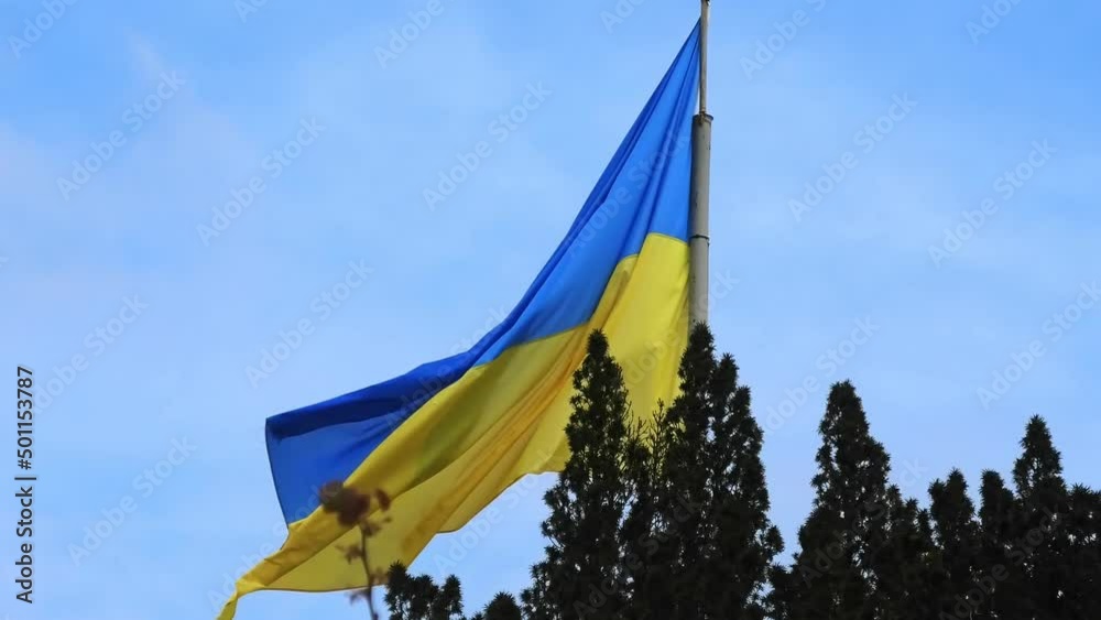 Wall mural The flag of Ukraine in the wind waving isolated on blue sky background.