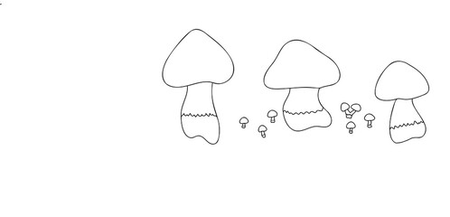 Mushrooms painted in white on black, intended for printing postcards