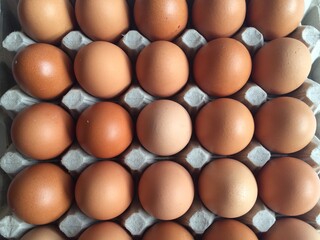 top view egg in eggs tray