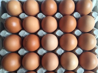 top view egg in eggs tray