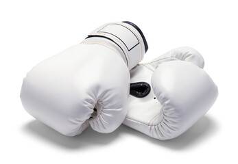 White Boxing Gloves