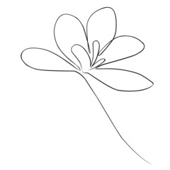 Vector abstract flower with one line. Minimalistic contour drawing of a flower. Linear drawing. Design of shop windows, notebooks, clothes.