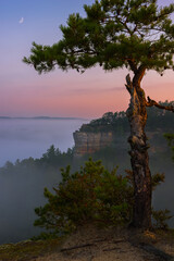 Scenic summer morning over Chimney Rock with fog filled valley in the Red River Gorge near Slade...