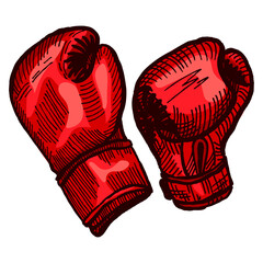 Red boxing gloves sketch in isolated white background. Vintage sporting equipment for kickboxing in engraved style.