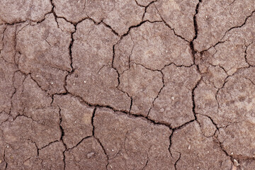 The surface of the soil is covered with cracks during drought